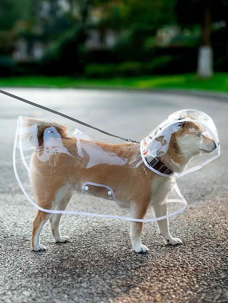 Capa de Chuva para Cães Transparente com Capuz Impermeável - Imagem 3