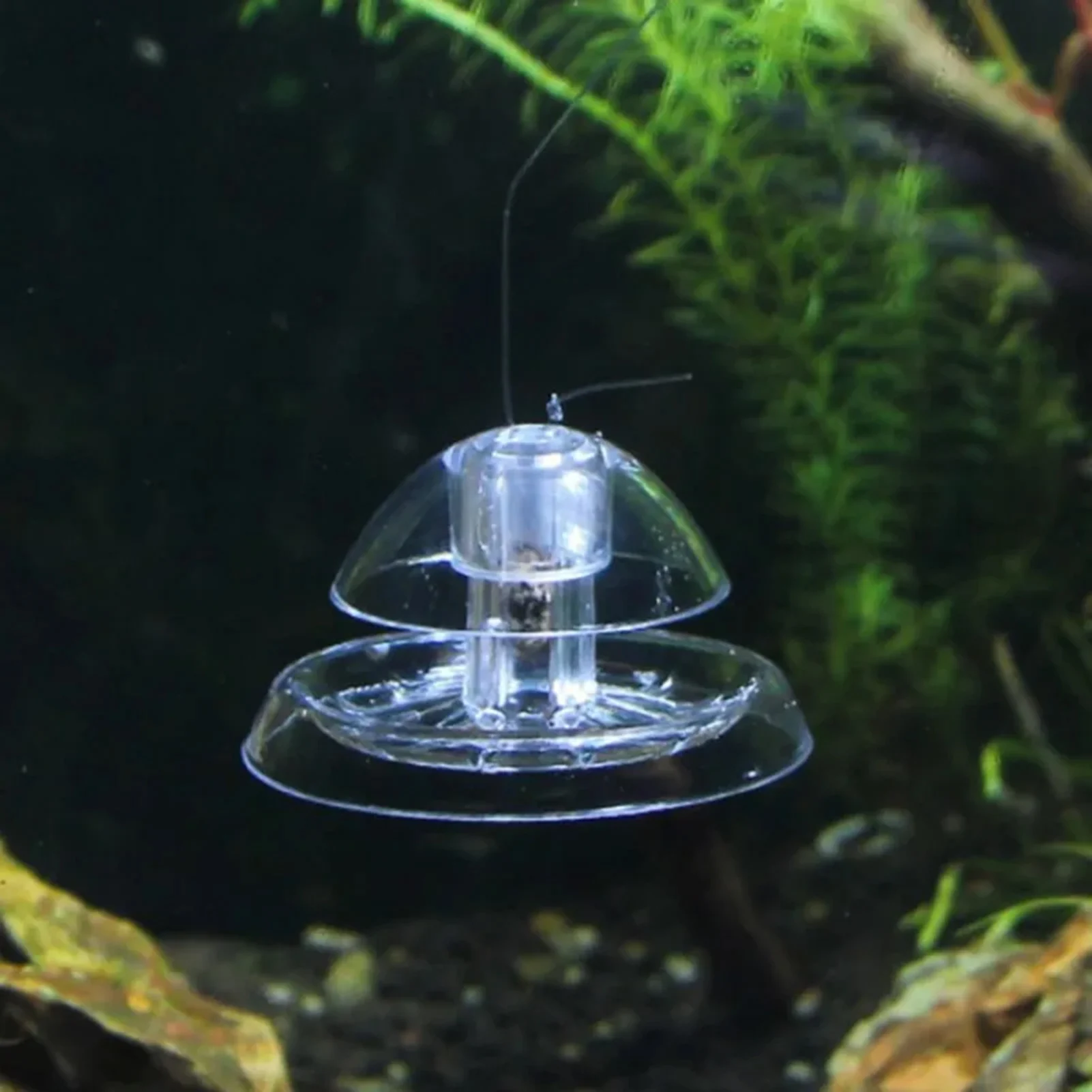 Armadilha para Caracóis de Aquário Transparente de Plástico 6 cm - Imagem 4