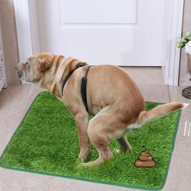 tapete grama para cães lavável