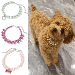 colar para cães e gatos pequenos