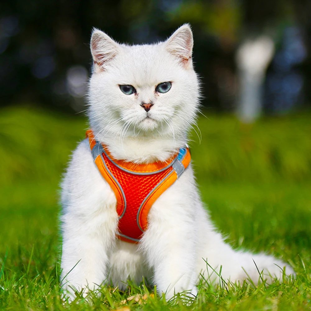 Colete Peitoral para Cães e Gatos Refletivo Ajustável para Passeio - Image 3