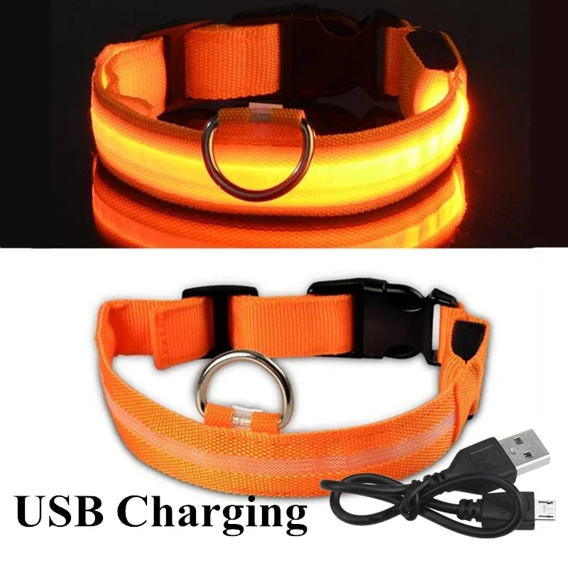 Coleira LED para Cães Recarregável USB com Faixa Luminosa - Image 3