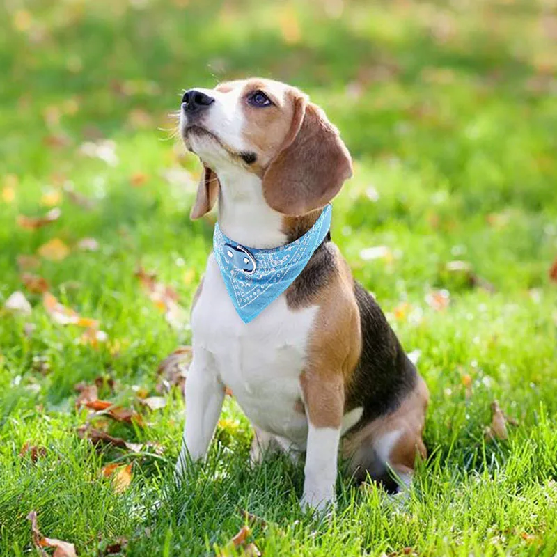 Coleira Bandana para Cães e Gatos Estampada Ajustável - Image 4