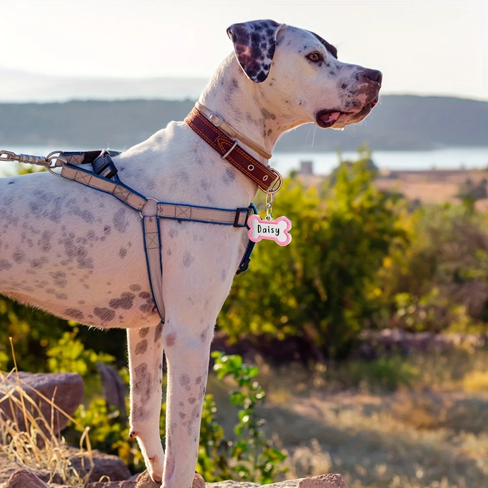 Etiqueta de Identificação para Cães e Gatos Personalizável Gravada - Imagem 4