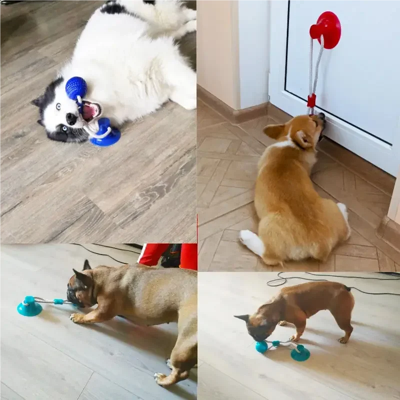 Brinquedo para Cães com Ventosa e Bola TPR para Morder - Imagem 4