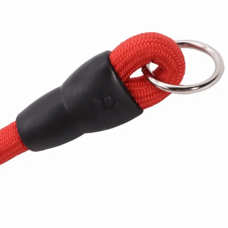 Coleira de Nylon para Cães com Fivela Ajustável - Imagem 5