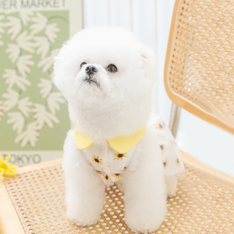 Vestido de Malha para Cães e Gatos com Laço para Passeio - Image 5