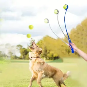 lançador de bolas para cães