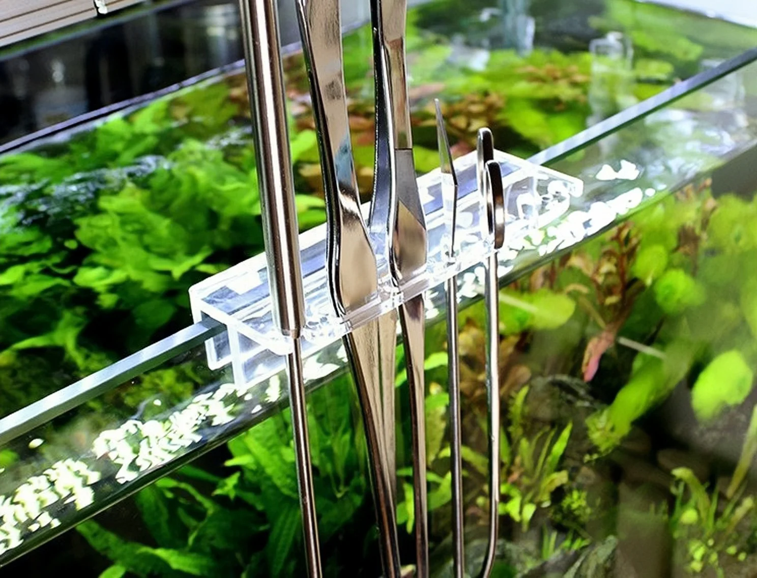 Tesoura para Aquário de Aço Inoxidável 25 cm Reta para Podar Plantas - Imagem 5