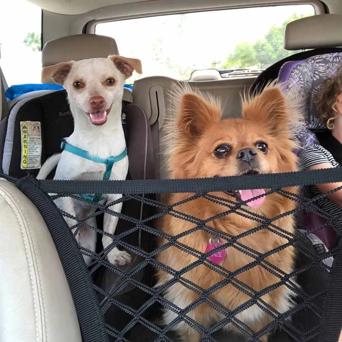 Rede de Proteção Carro para Cães Elástica 29x24 cm - Imagem 3