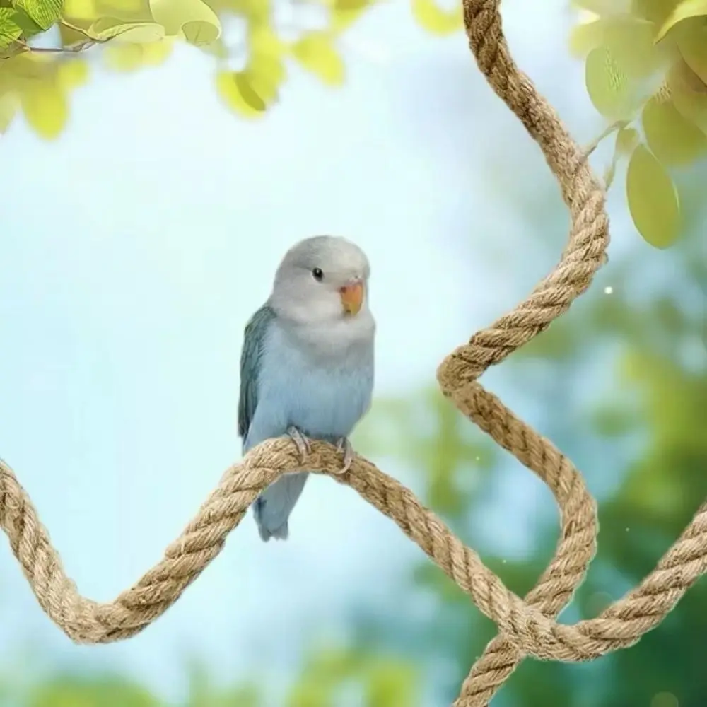 Poleiro para Papagaios de Corda de Linho com Ventosas para Janela - Imagem 4