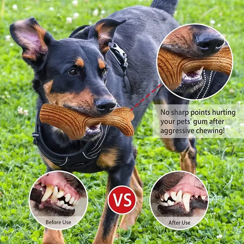 Brinquedo de Madeira para Cães Grandes Roedores - Imagem 4