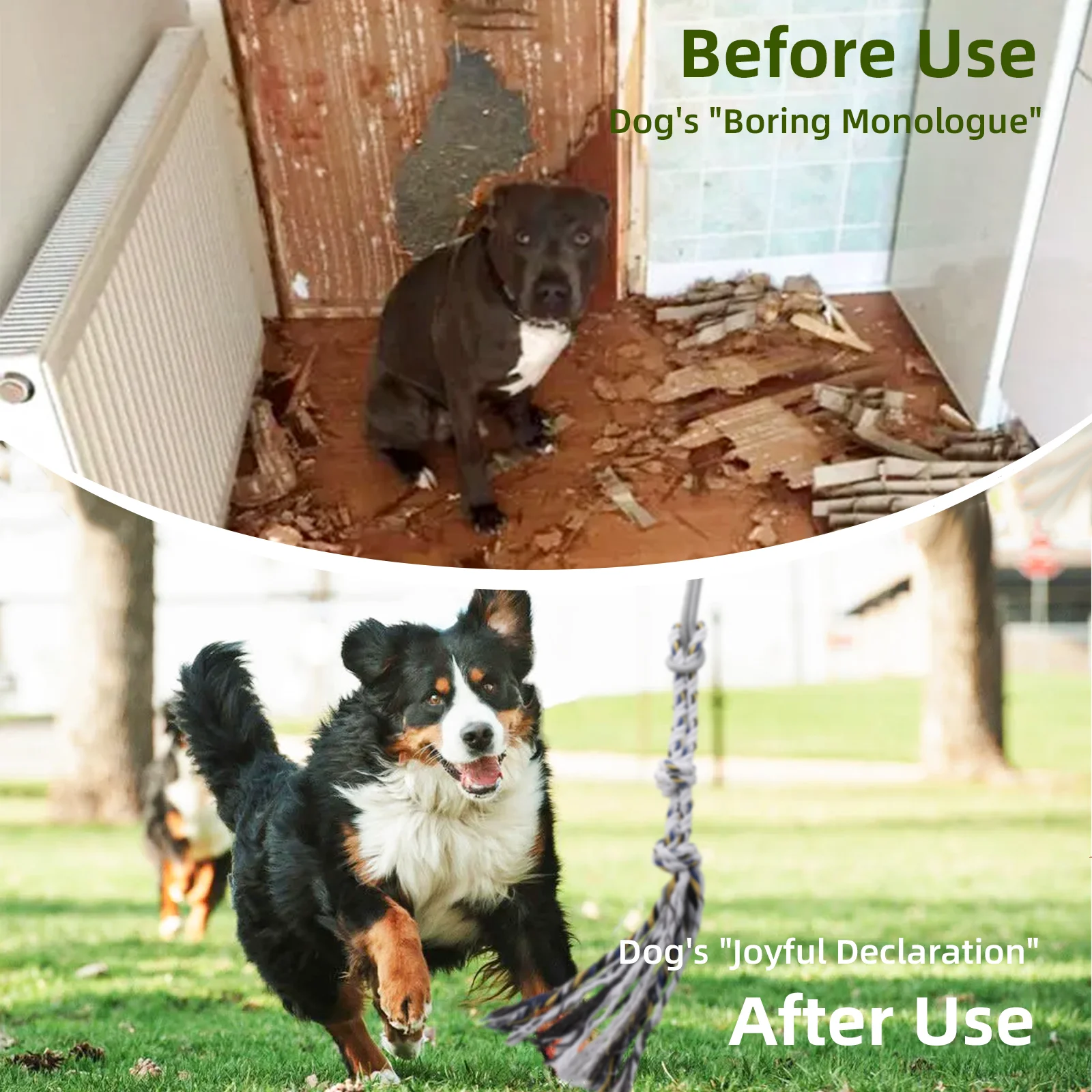 Pólo de Flertar para Cães Pequenos e Médios Brinquedo Interativo - Image 3