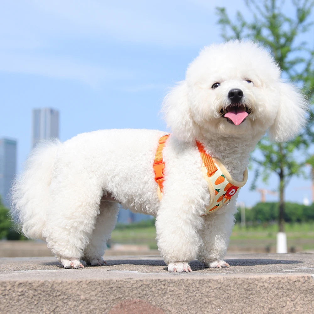 Colete Peitoral para Cães Pequenos Respirável com Guia Ajustável - Imagem 5