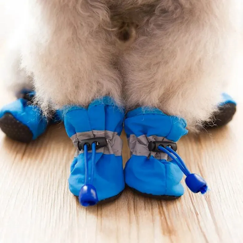 Botas para Cães Pequenos Impermeáveis com 4 peças para Passeio - Imagem 6