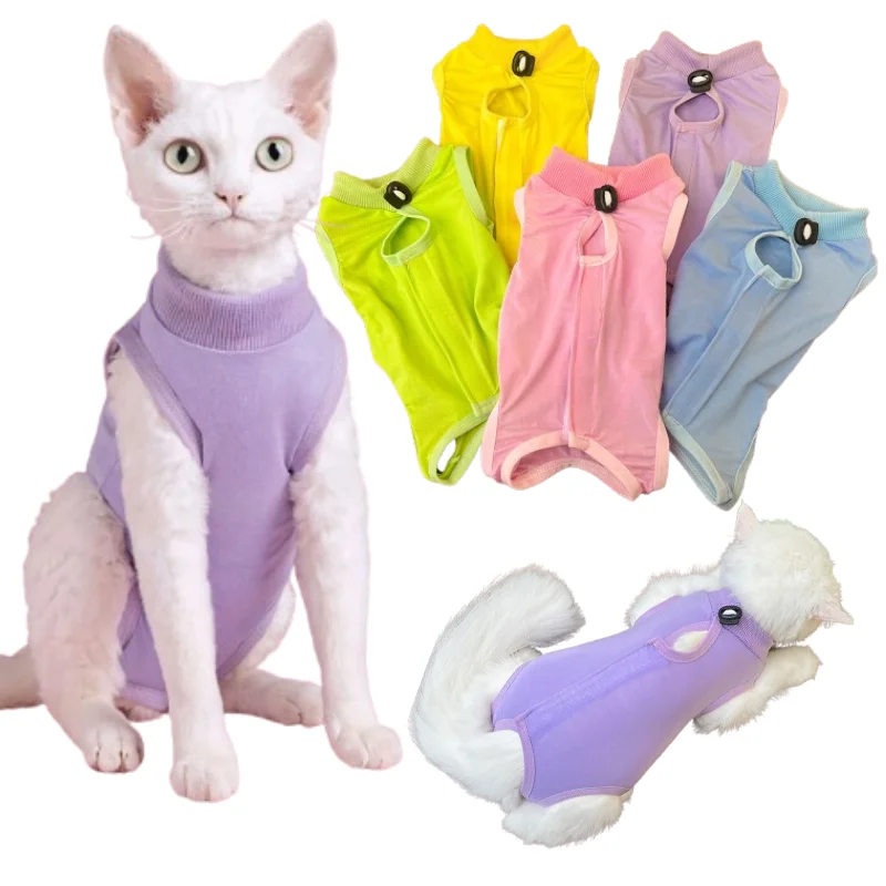 roupa de recuperação para gatos