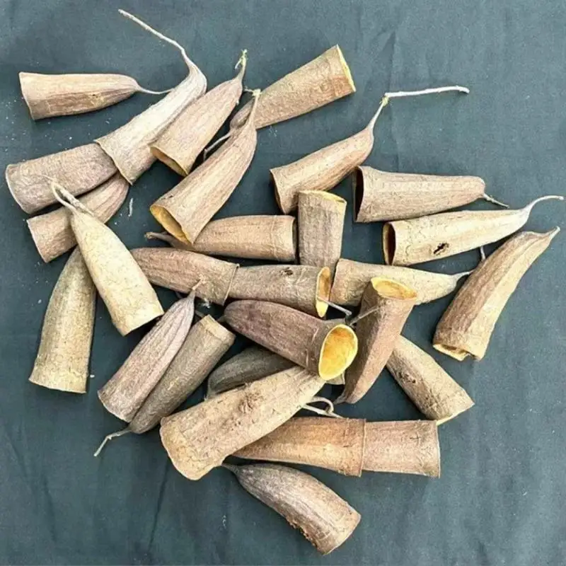 Decoração para Aquário Caverna para Cíclidos 3 Peças com Abrigo - Imagem 4