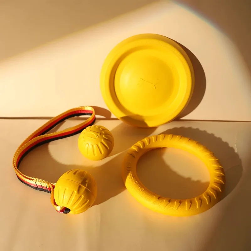 Brinquedo Frisbee para Cães com Corda para Treinamento ao Ar Livre - Imagem 2