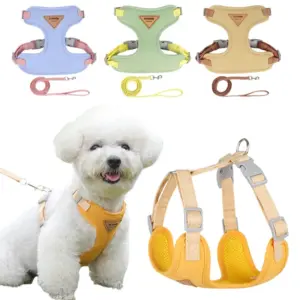 conjunto de arnês e coleira para cães pequenos