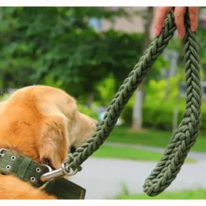 coleira de nylon para cães médios e grandes