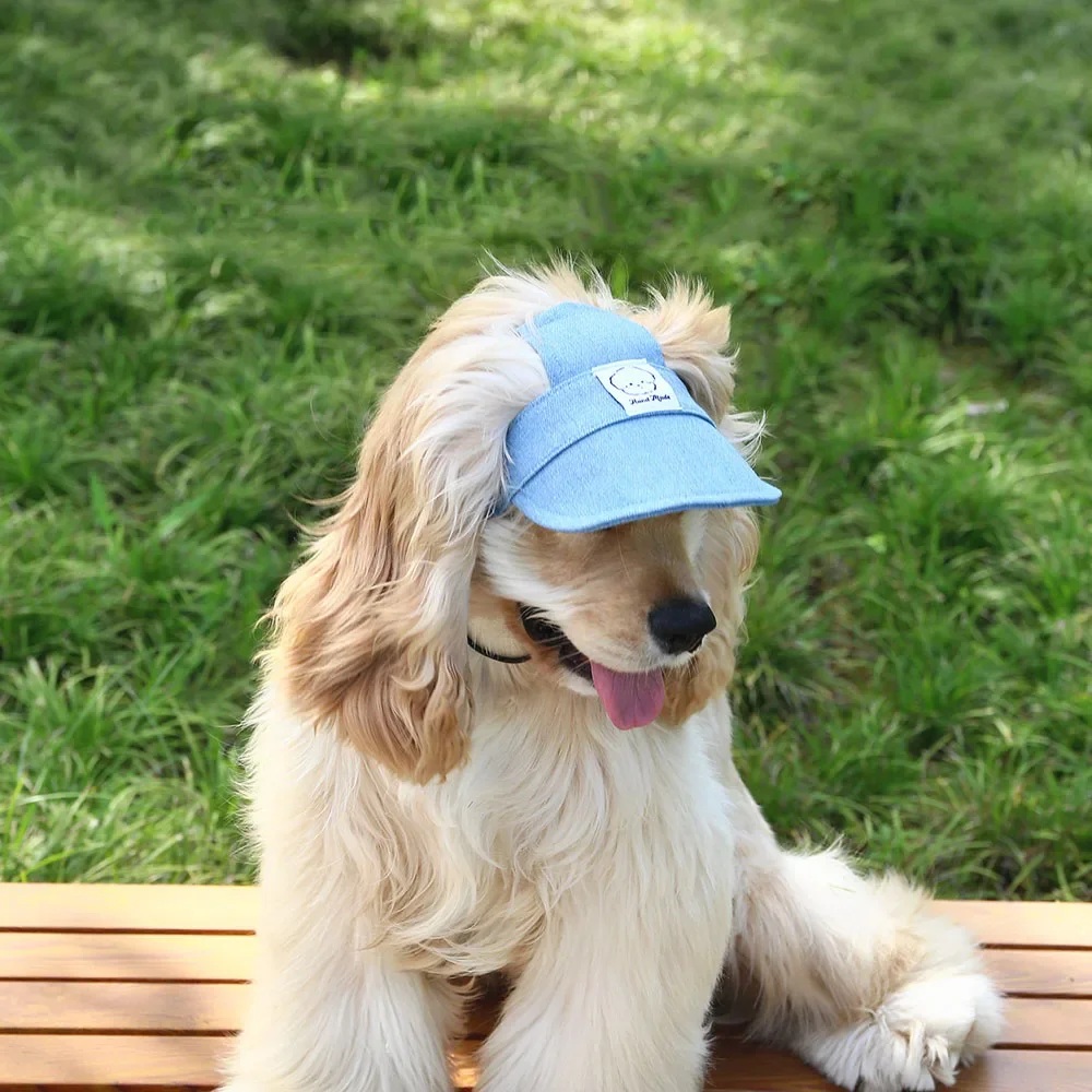 chapéu para cães com furos para orelhas