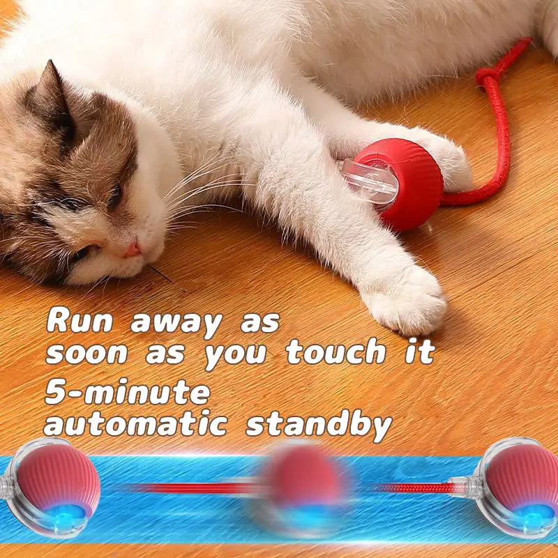 Brinquedo Bola Rolante para Gatos Recarregável USB com Cauda Falsa - Imagem 4