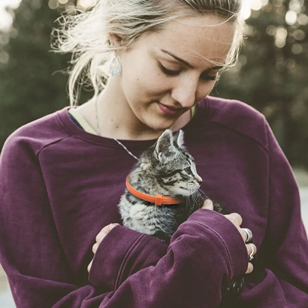 Coleira para Cães e Gatos de Borracha Ajustável e À Prova D'
Água - Imagem 2