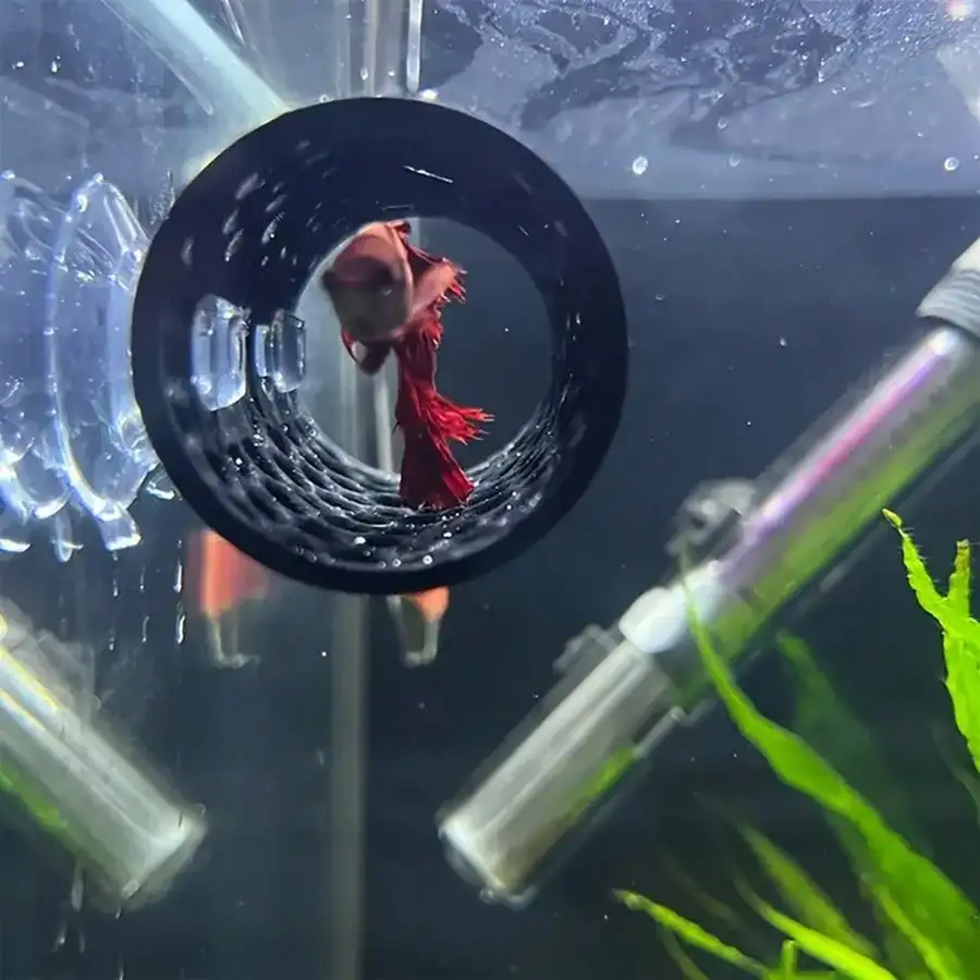 Esconderijo para Peixe Betta em Tubo Oco com Ventosa para Aquário - Imagem 3