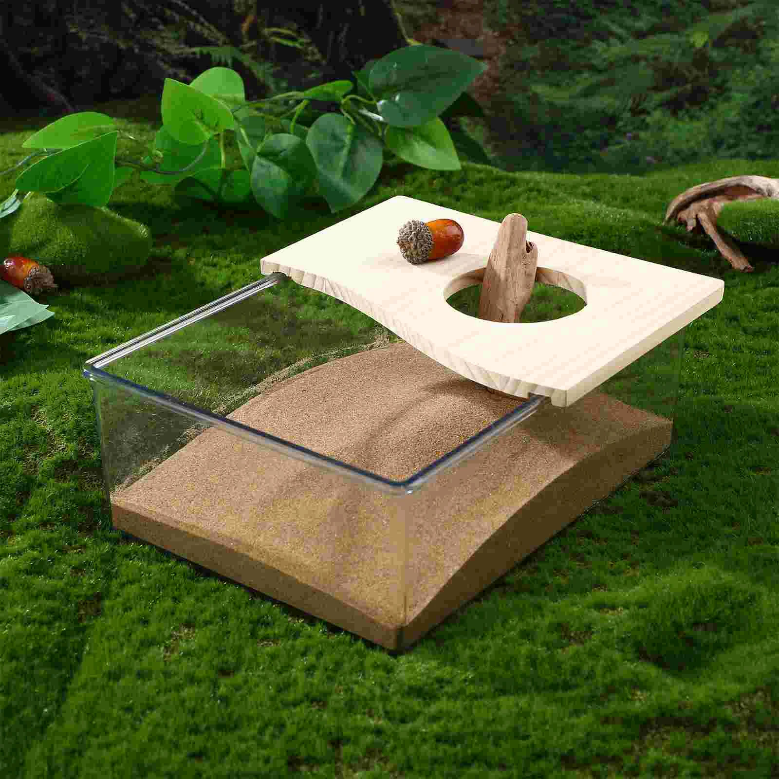 Sandbox de Acrílico para Hamster 20x15x8 cm com Superfície Lisa para Limpeza Fácil - Imagem 4