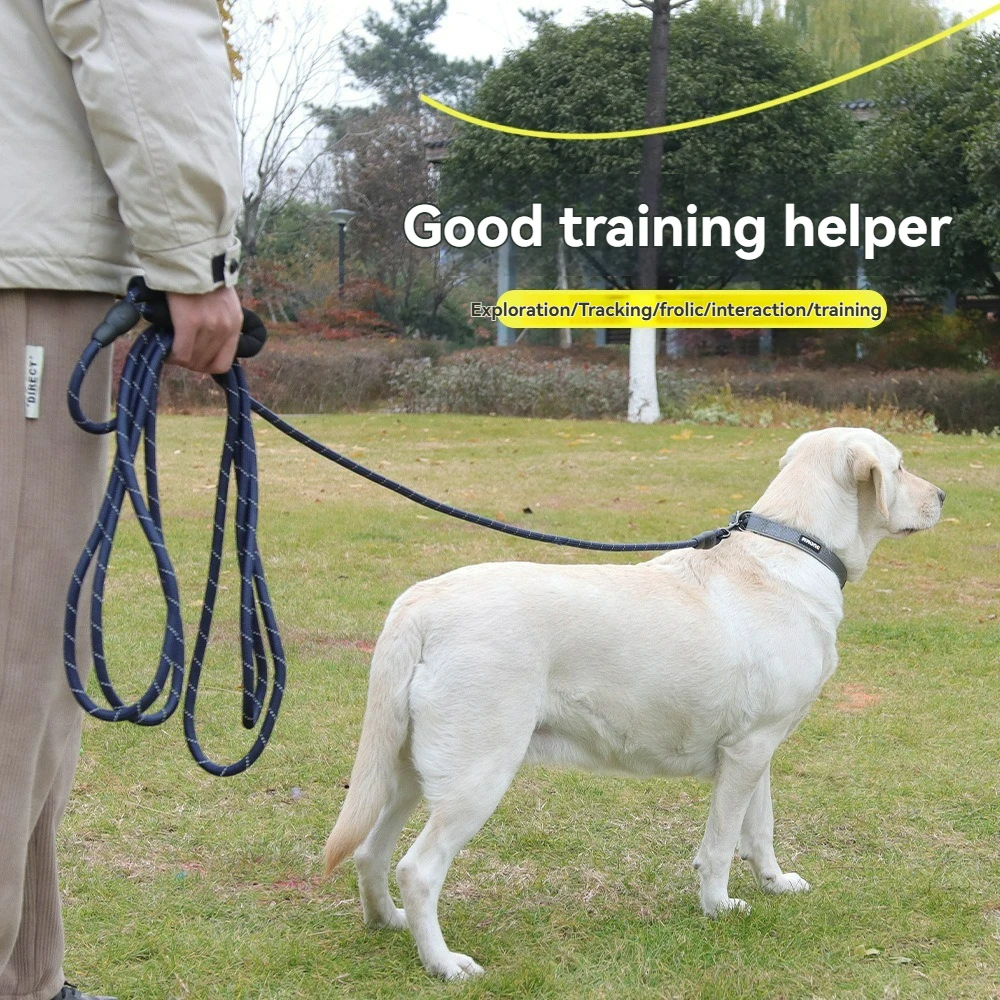 Coleira de Treinamento para Cães com Alça Acolchoada Rosa - Imagem 5