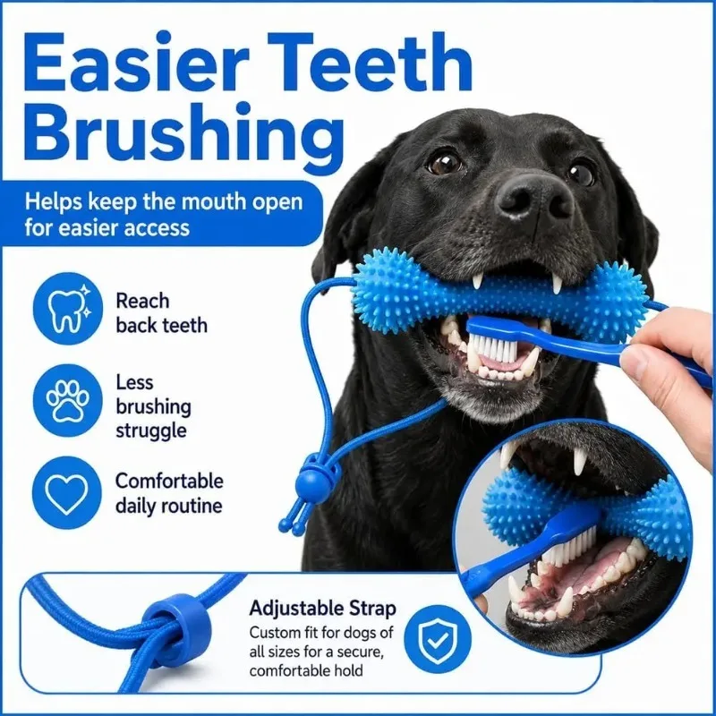 brinquedo dental para cães