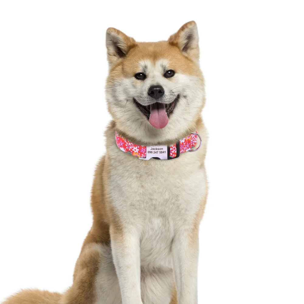 Coleira Floral Nylon para Cães com Gravação Personalizada - Image 5