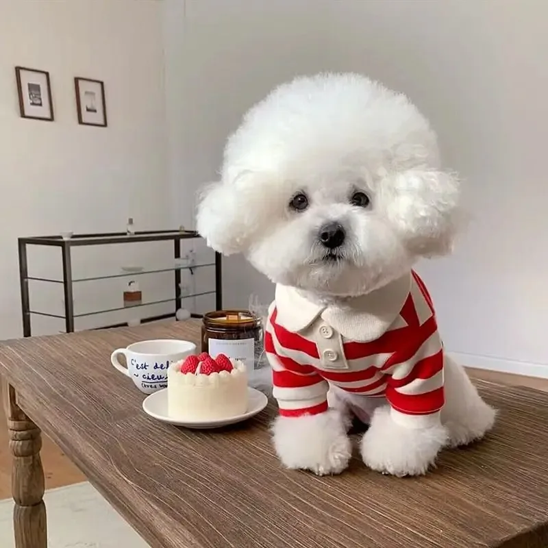 Camisa Polo Listrada para Cães de Algodão para Cães Pequenos e Médios - Imagem 4