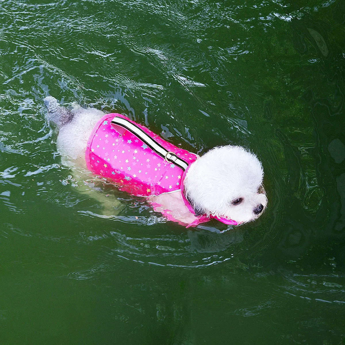 Colete Salva-Vidas para Cães Pequenos, Médios e Grandes - Image 3