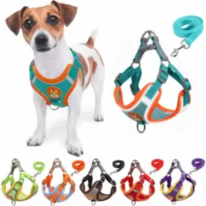 peitoral para cães pequenos e médios ajustável