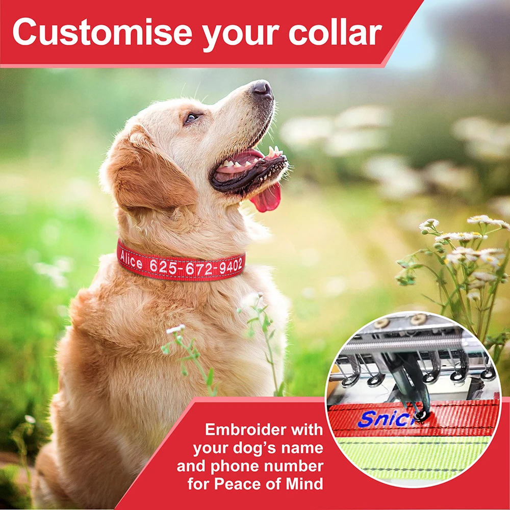 Coleira de Nylon Bordada para Cães e Gatos com Nome e Telefone - Imagem 5