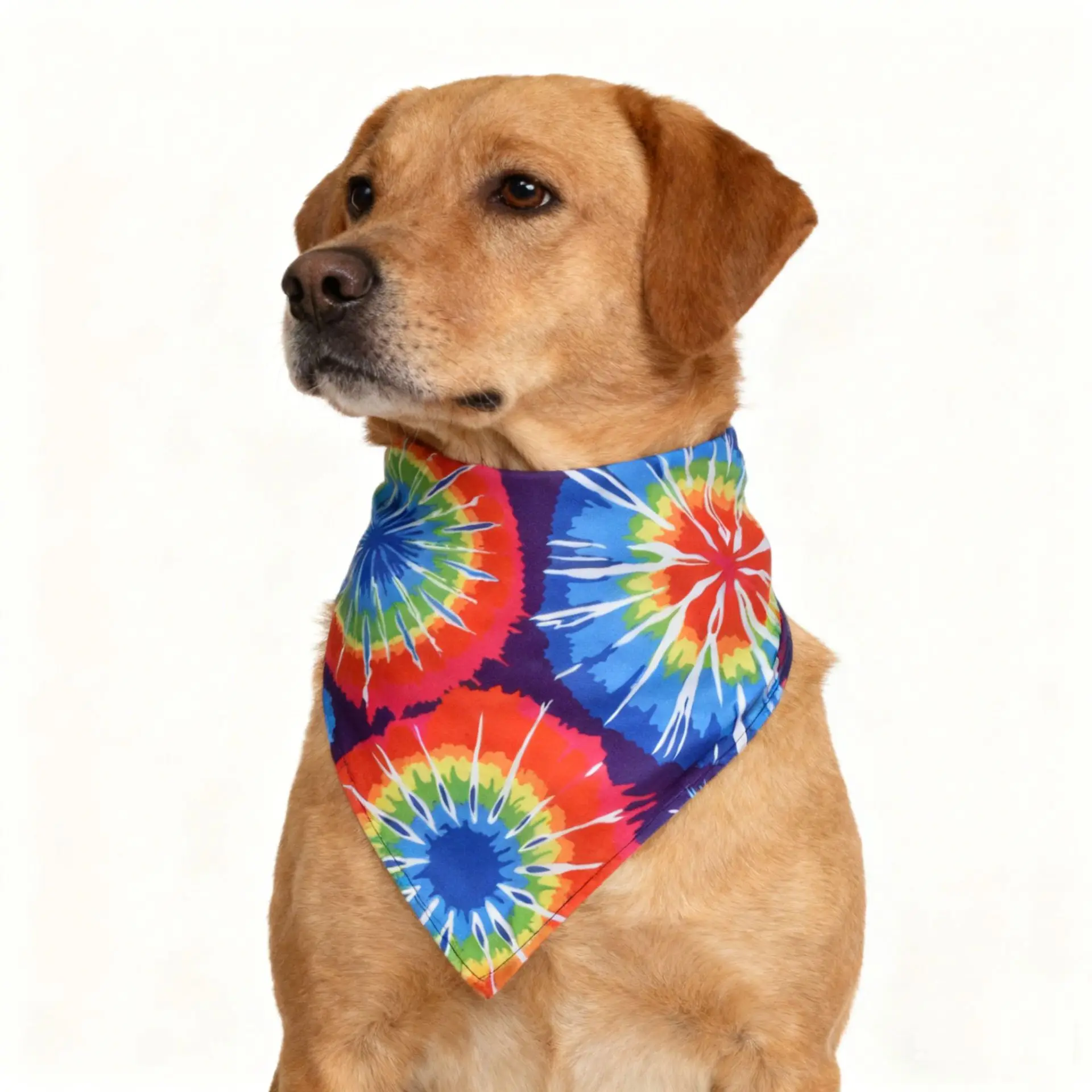 Bandanas para Cães Tie Dye Triangulares Laváveis 50 Unidades - Image 5