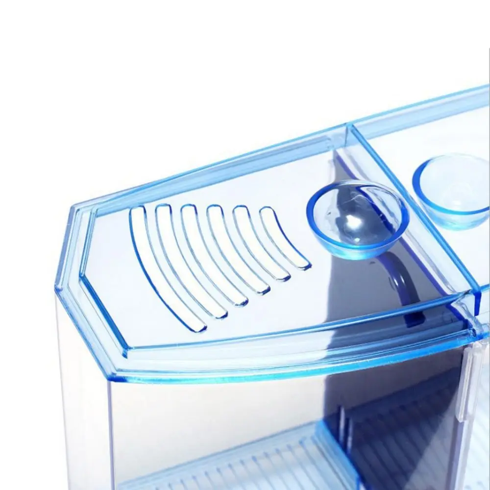 Aquário Duplo para Betta e Guppy com Isolamento Branco - Image 5