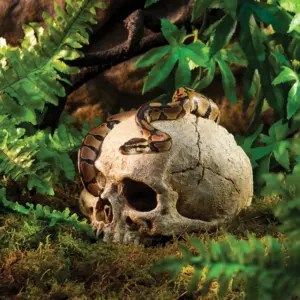 caverna crânio de resina para aquário