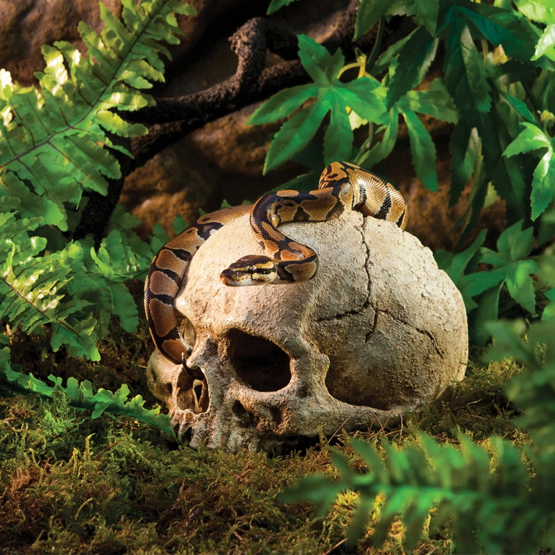 caverna crânio de resina para aquário