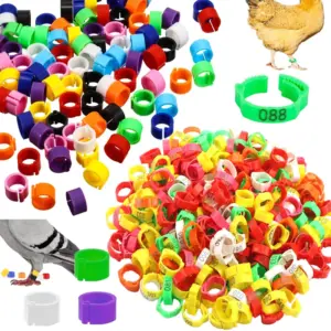 anel de perna ajustável para aves