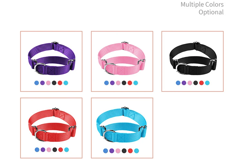 Coleira Martingale para Cães Ajustável em Nylon Resistente - Imagem 2