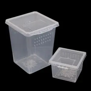 caixa de plástico transparente para insetos