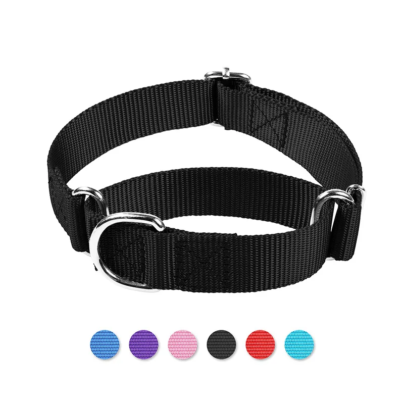 Coleira para Cães de Nylon Ajustável com Anel D de Metal - Imagem 4