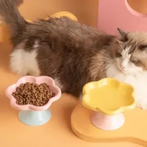 tigela de cerâmica elevada para gatos