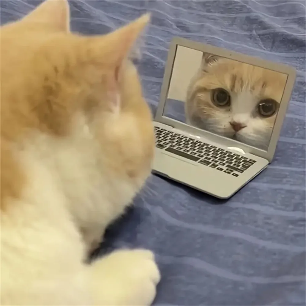 Brinquedo Interativo para Gato com Espelho e Tira - Imagem 2