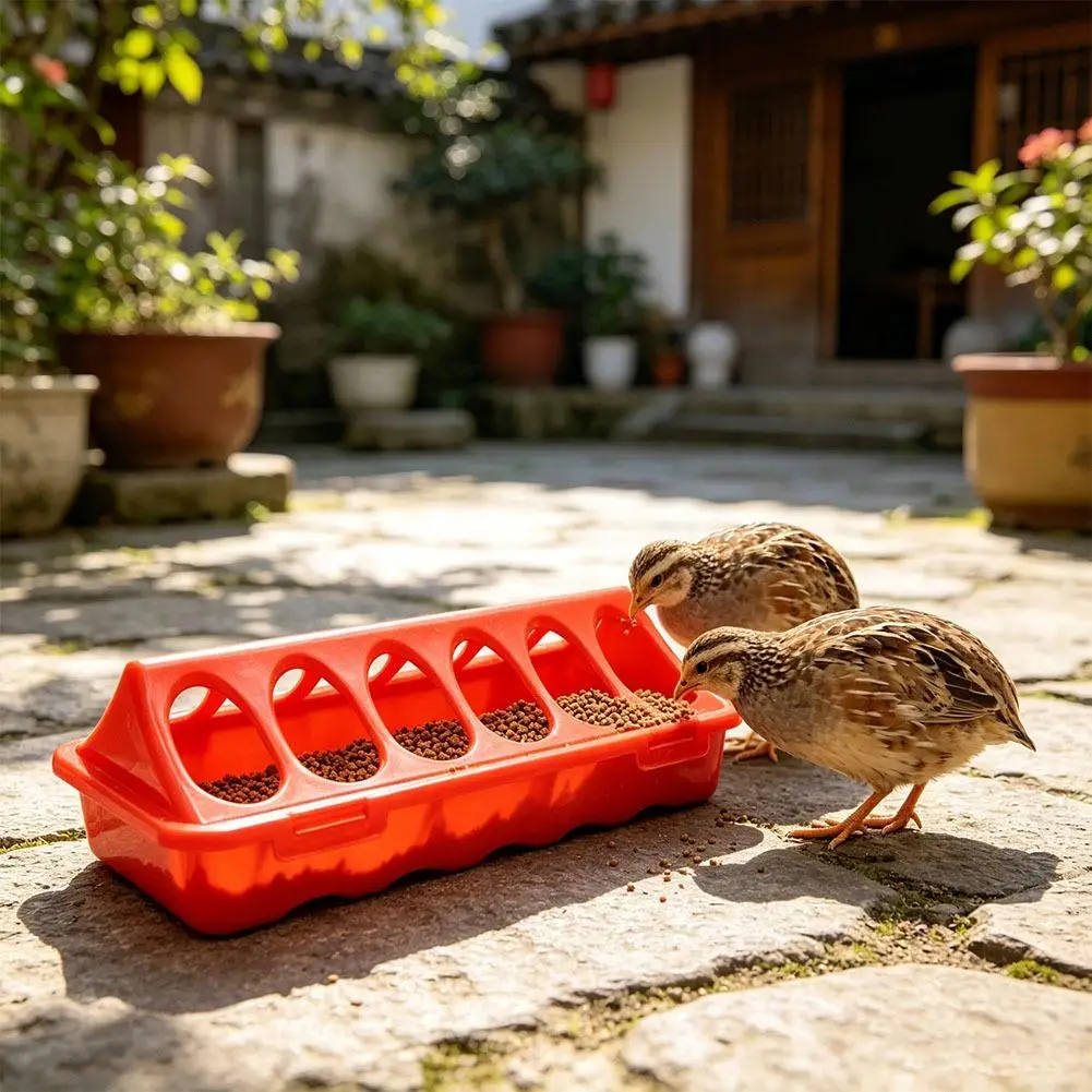 Comedouro para Aves de Plástico com 12 Furos Anti-Desperdício - Imagem 3