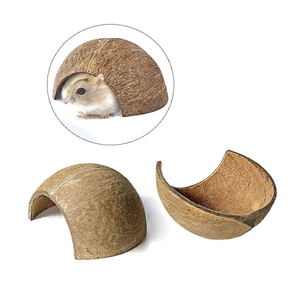 Ninho de Casca de Coco Natural para Répteis e Hamsters 6x10,5 cm - Imagem 4
