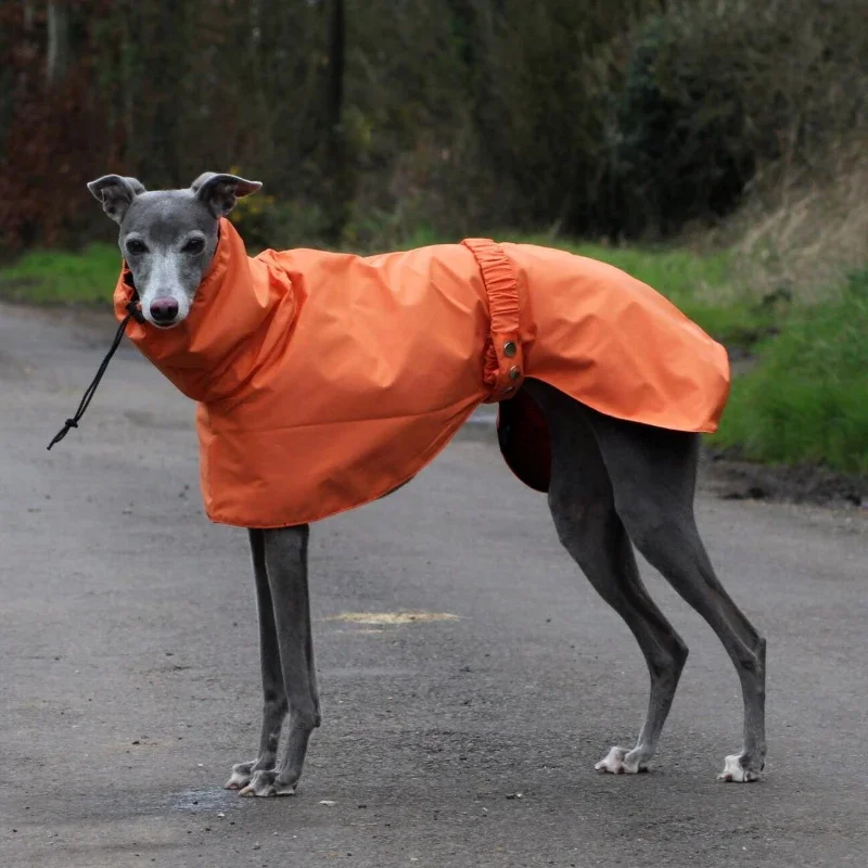 capa de chuva para cães grandes