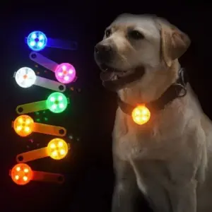 coleira pingente led recarregável para cães